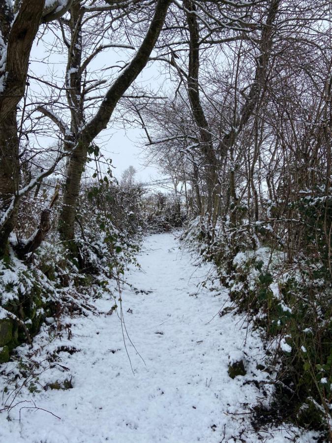 Bramble Cottage Rathfriland エクステリア 写真